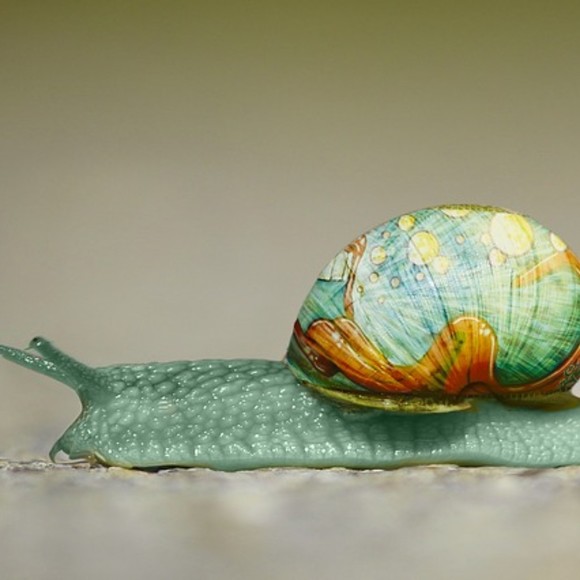 Meet your Posher, Jeffrey - Picture 1 of 1